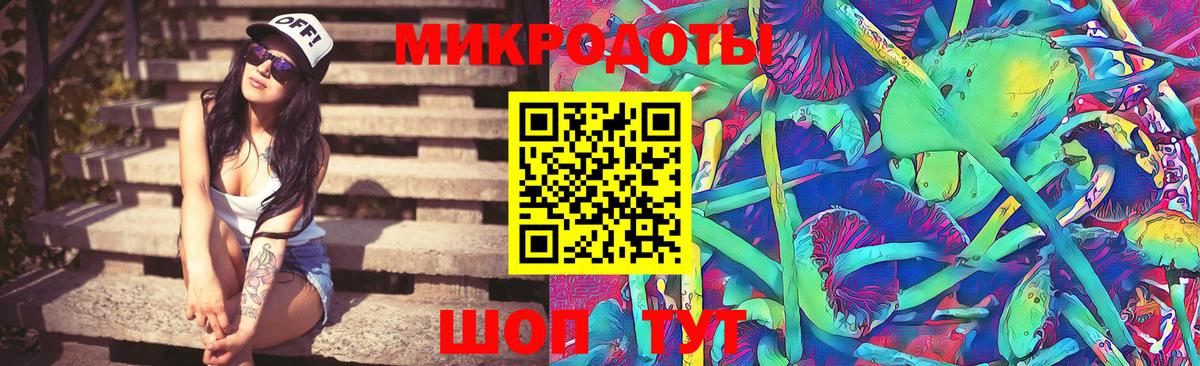 Псилоцибиновые грибы Psilocybe Лабинск