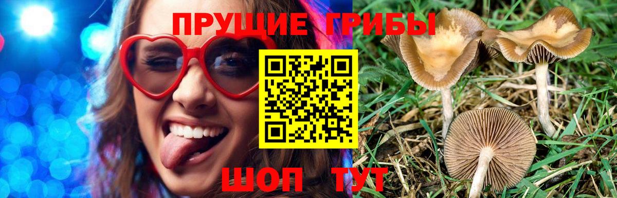 Лабинск  купить наркотик  Вход с VPN  Галлюциногенные грибы мухоморы 